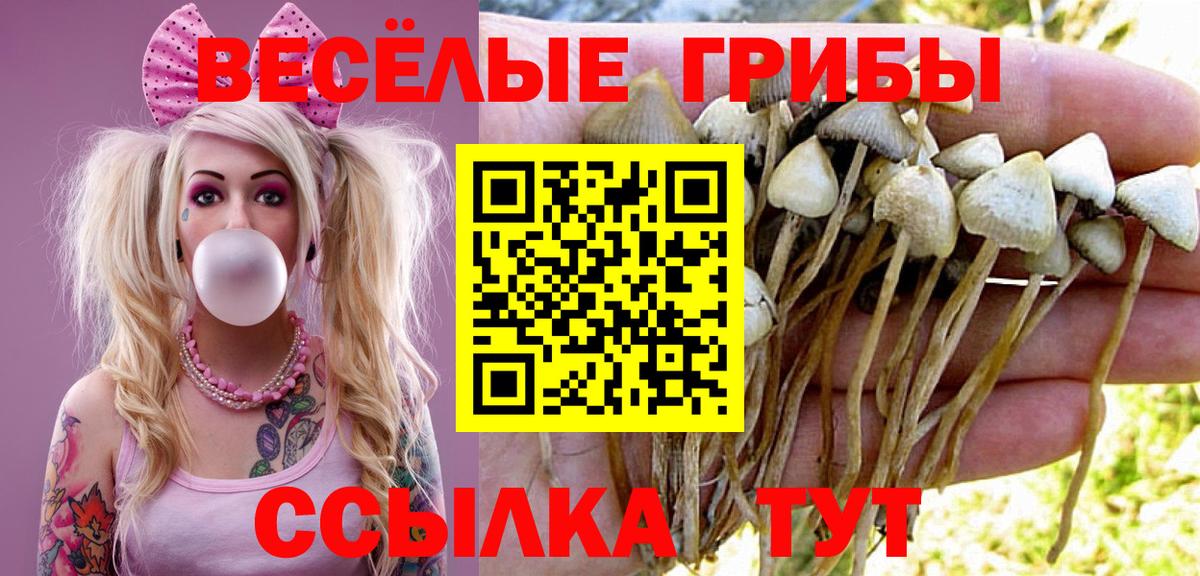 Псилоцибиновые грибы GOLDEN TEACHER  Псилоцибиновые грибы Cubensis  Вход с VPN  Елец 