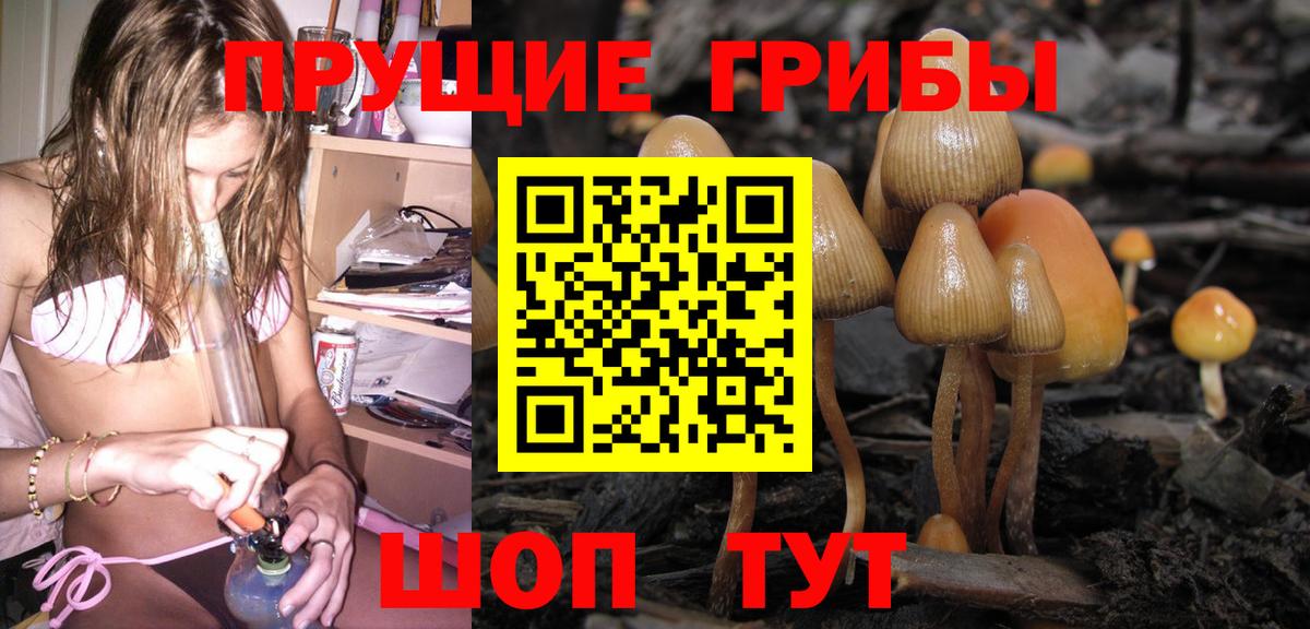 Псилоцибиновые грибы Magic Shrooms Елец